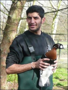 WWT London Wetland Centre Grounds Supervisor Idris Bhatti with Red-Breasted Goose