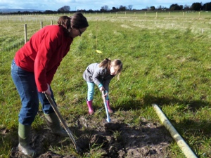 orchard planting 1