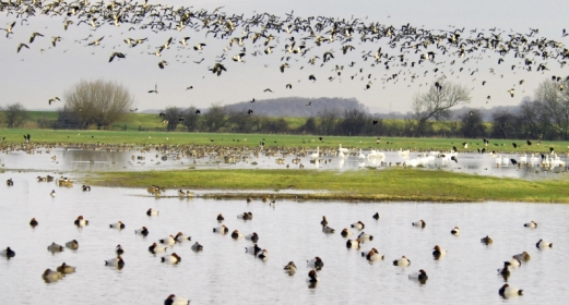 Wonderful wildlife hides