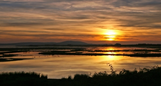 Millennium Wetlands closure