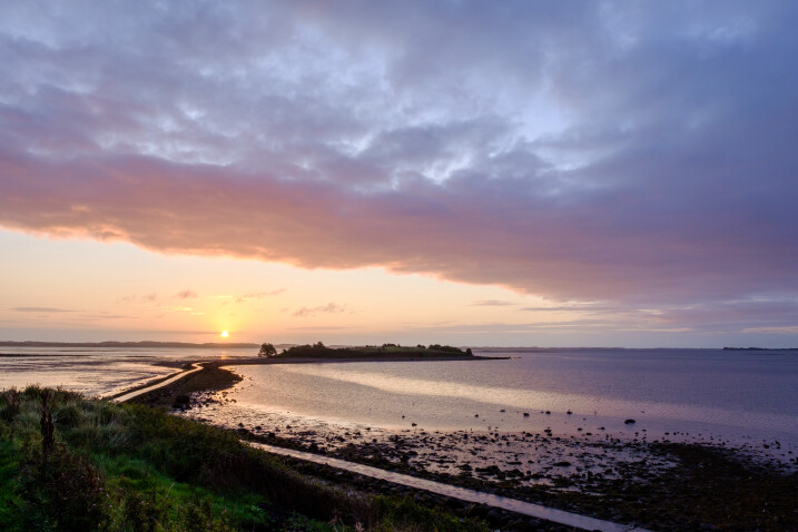 Greenpeace film screening at Castle Espie