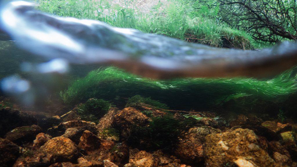 What’s in a name? The hidden history flowing through Britain’s rivers