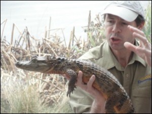 Crocodile Encounters show