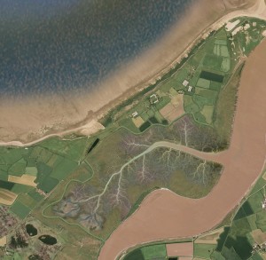 Aerial plan view - Atlantic marsh creation After