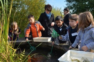 School pond dipping