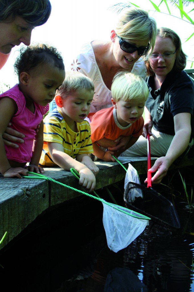 Pond dipping (c) Jerome Favre