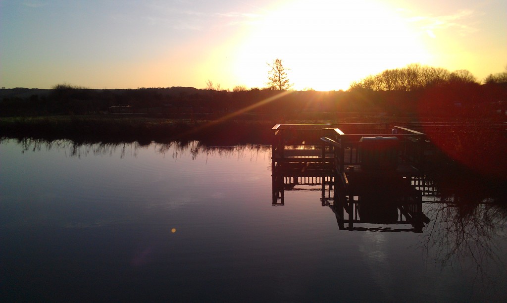 Dawn at WWT Arundel on day 2 of the Big 9 Challenge Dawn at WWT Arundel on day 2 of the Big 9 Challenge