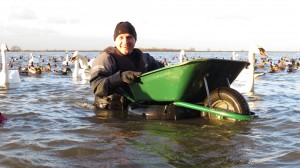 Mike with the floating grain barrow Mike with the floating grain barrow