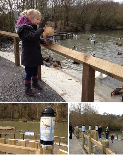 (top) Young visitor Eva Webb enjoys the new feed bay at WWT Arundel.  (bottom) new rotating signs, long shot of the feedbay.