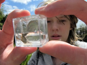 The new wildlife areas will bring to life lessons learned inside the classroom 