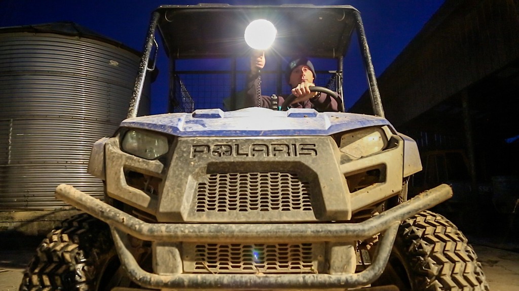 Night time patrol to protect the crane nest (C) WWT