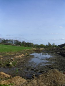 Saline lagoon area in 2011