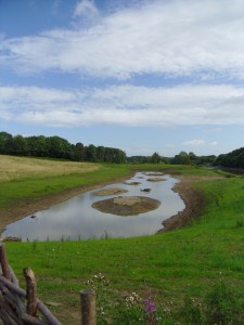 Saline lagoon view