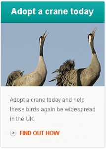 adopt_a_crane