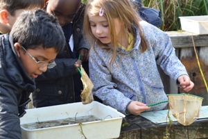 60,000 pupils will learn curriculum subjects through hands on activities like pond dipping.