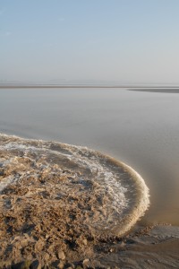 Severn Bore (c) JS Lees