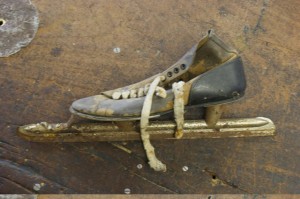 Fen Skate