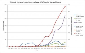 Orchid graph