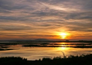 Proposed site: View of the Loughor Estuary from WWT Llanelli Wetland Centre