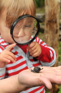 Mini beast hunt by the Sunderland Echo
