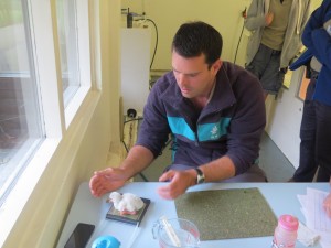 A new arrival is weighed to check that its growth is progressing normally.