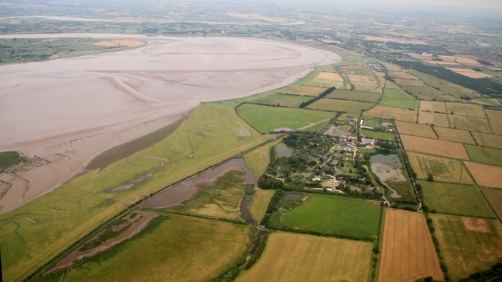 WWT Slimbridge Wetland Centre on the banks of the Severn Estuary