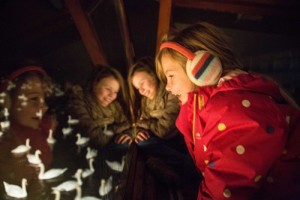 Children wChildren watching WWT Welney floodlit wild swan feed by Sacha Denchatching WWT Welney floodlit wild swan feed