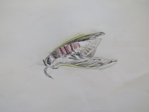 IMG_2731