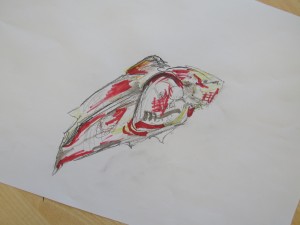 IMG_2732