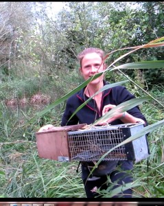 Rowenna Baker of University of Brighton emerges from the reeds with a humane cage trap, used in the water vole surveys.