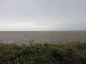 View of the Solway, south from the Saltcot Merse