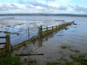 A high Severn Estuary tide floods over wetlands at Slimbridge which reduces flooding pressure further upstream (c) James Lees