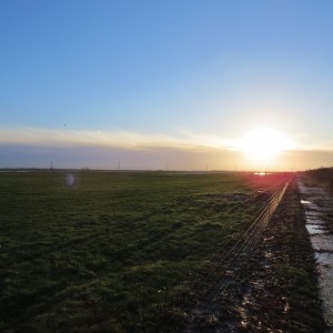 Fenland sunrise