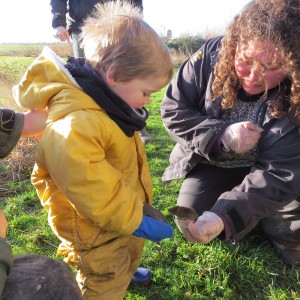 Bank vole encounter