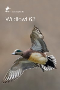 Current Wildfowl