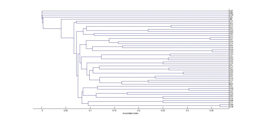 What do all the lines mean? This is an example of the strength of the "friendship" between each bird in the lesser flamingo flock. The numbers along the bottom should go from 0 to 1, with 1 being birds are seen together all of the time. In this case, the graph goes no higher than 0.4 showing that birds mix together freely, with no real strong friendships. 