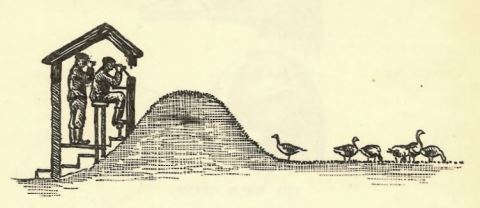 sketch of temporary hides at Slimbridge in first edition of Wildfowl