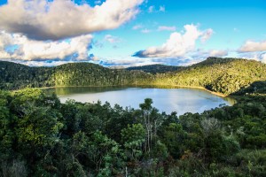 The last remaining refuge of the Madagascar pochard (c) WWT