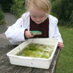 Pond dipping 05
