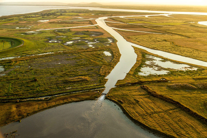 Steart Marshes, WWT's newest reserve acts as a natural flood buffer