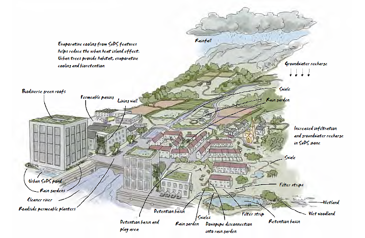 SuDS encompass various ways to capture rain naturally. This image is from  WWT and RSPB's guide to SuDS for local authorities and developers (c) naturebureau.co.uk