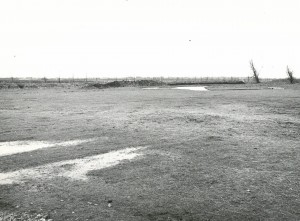 MM-40-pic1
