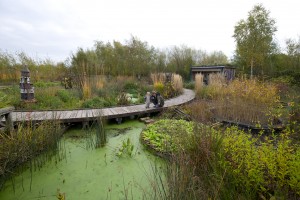 Wetlands can store floodwater, and be great for people and wildlife too.