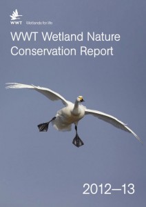 Conservation report