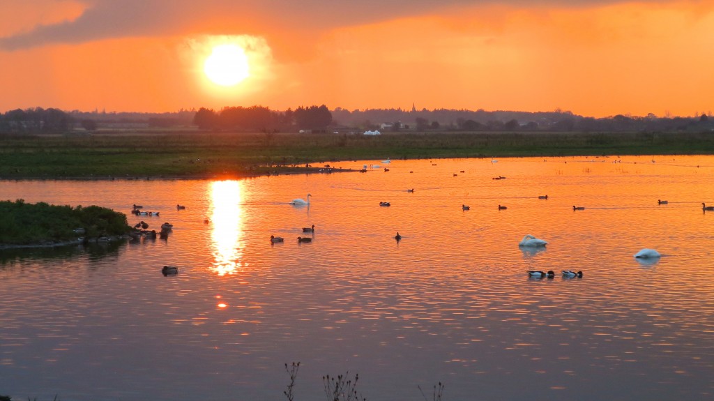 Sunset over the Mere (T. Disley)