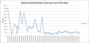 Pintail graph
