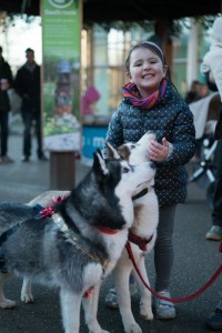 Huskies at london Wetland Centre