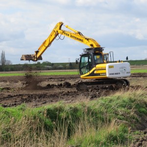 Scrape creation on Lady Fen