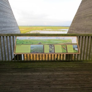 Lady Fen visitor interpretation