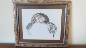 Cook,Hawiian goose (3)